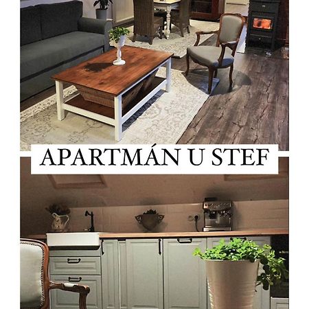 Apartman U Stef Borotice エクステリア 写真