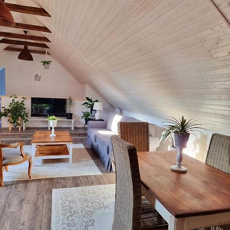 Apartman U Stef Borotice エクステリア 写真