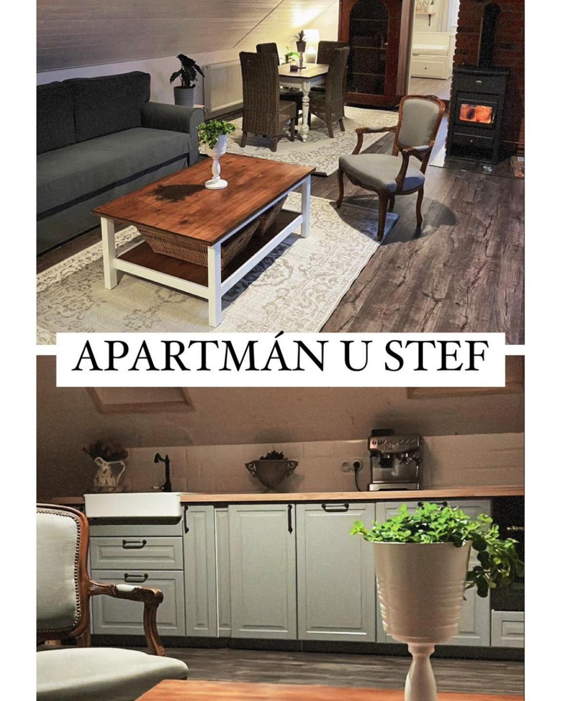 Apartman U Stef Borotice エクステリア 写真