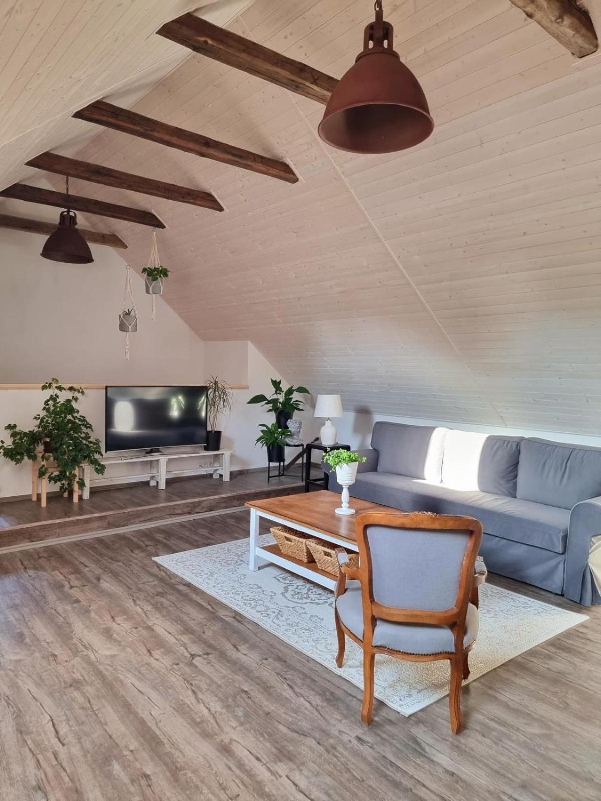 Apartman U Stef Borotice エクステリア 写真
