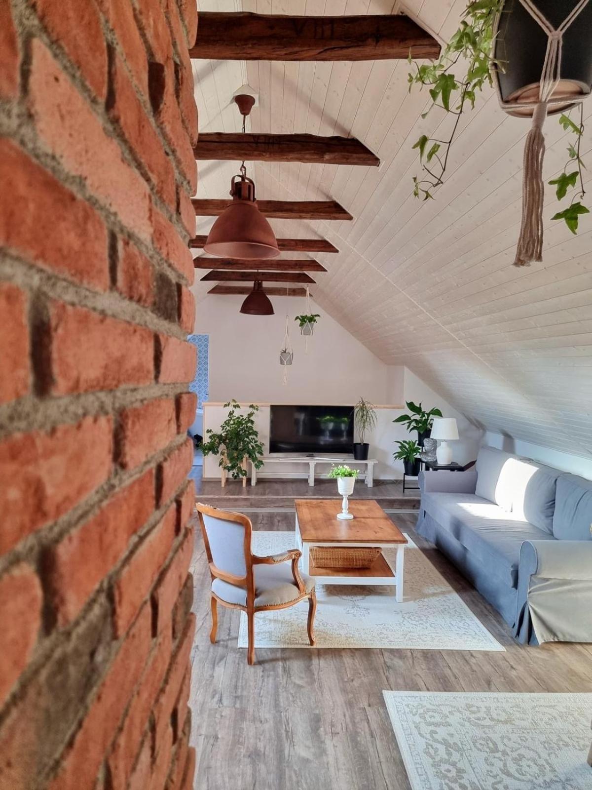 Apartman U Stef Borotice エクステリア 写真