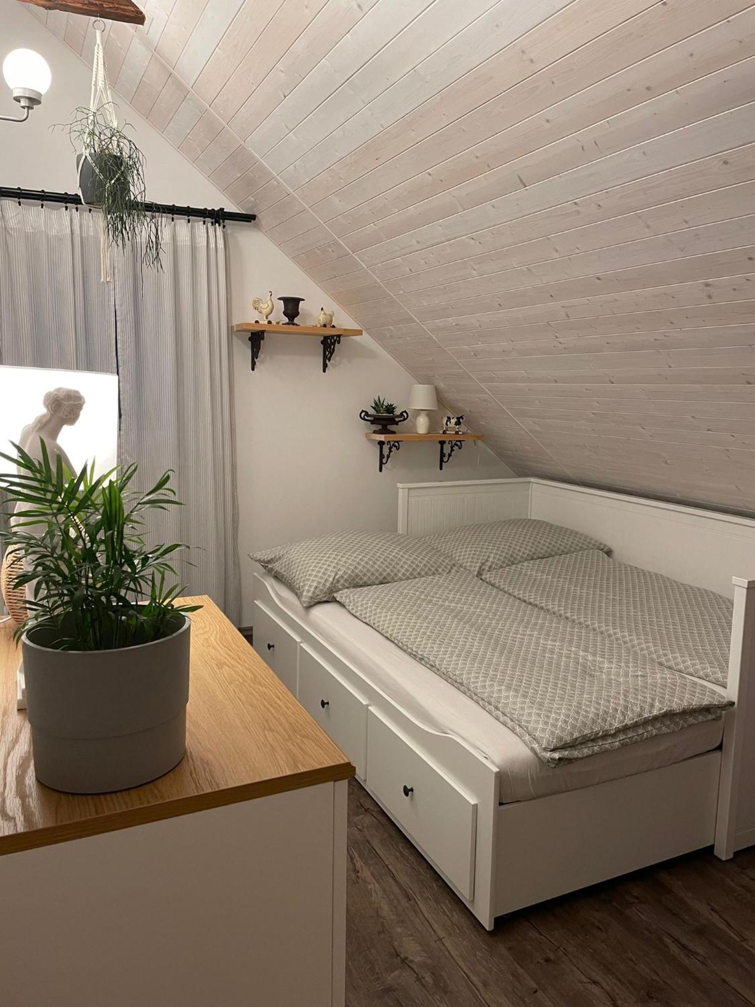 Apartman U Stef Borotice エクステリア 写真
