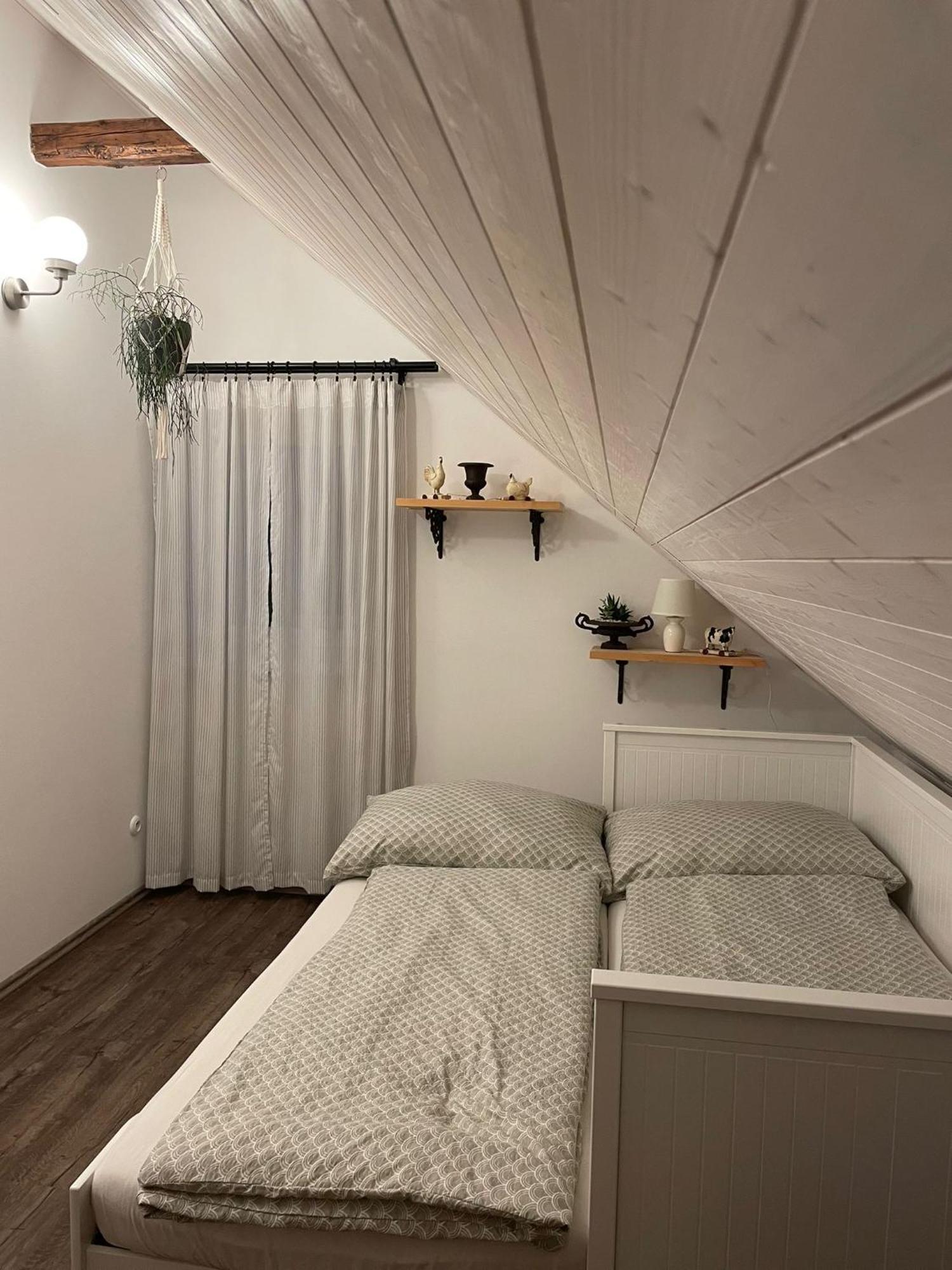 Apartman U Stef Borotice エクステリア 写真