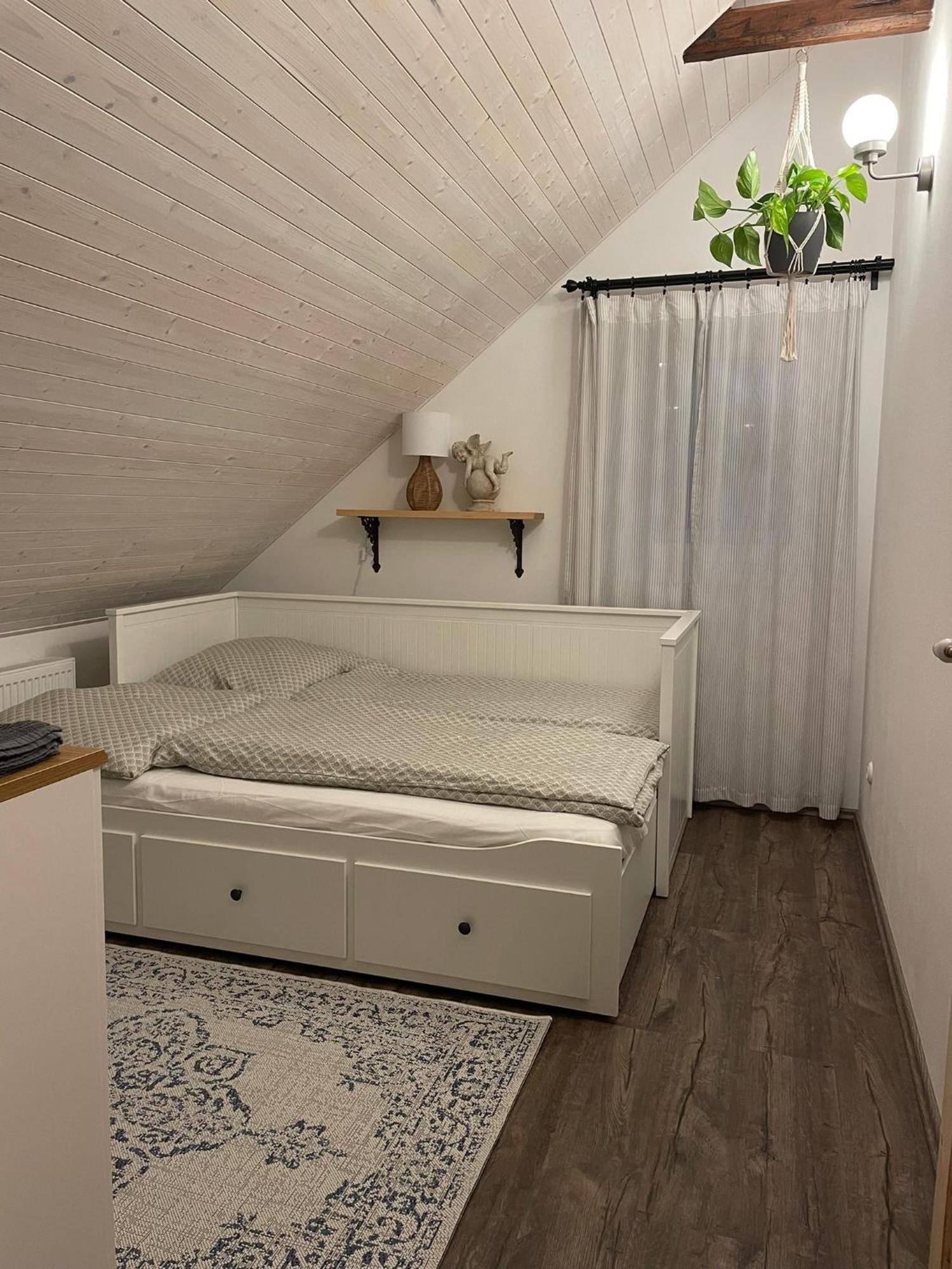 Apartman U Stef Borotice エクステリア 写真